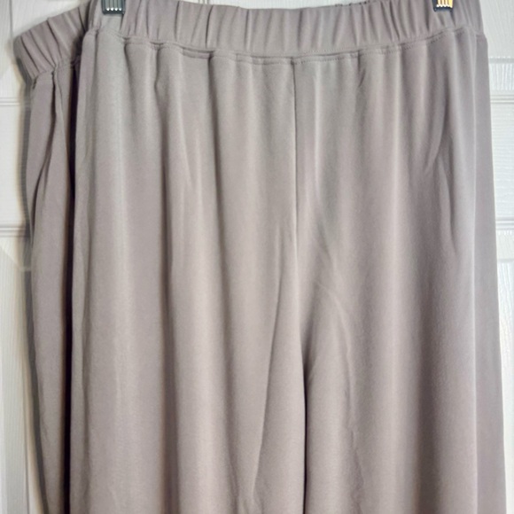 NWOT. SIMONTON SAYS 2X light beige pants with elastic waist band. Pull On Pants - Picture 3 of 9